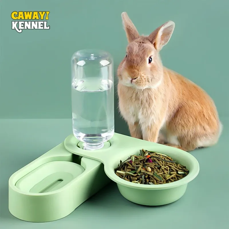 Small Pet Auto Feeder Food Bowl 1