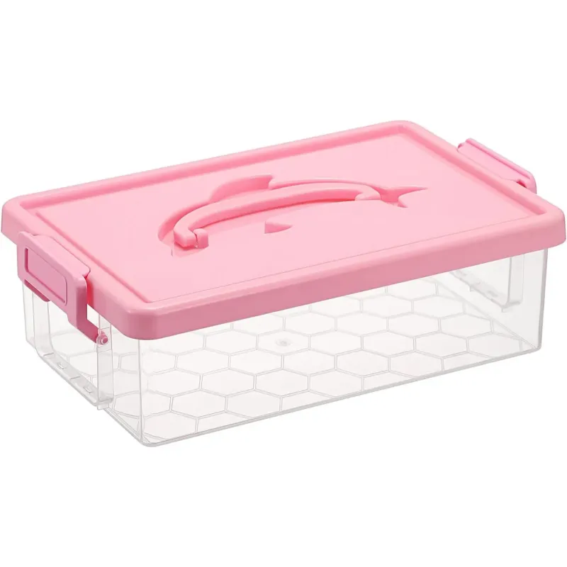 Clear Plastic Storage Box with Lid 1