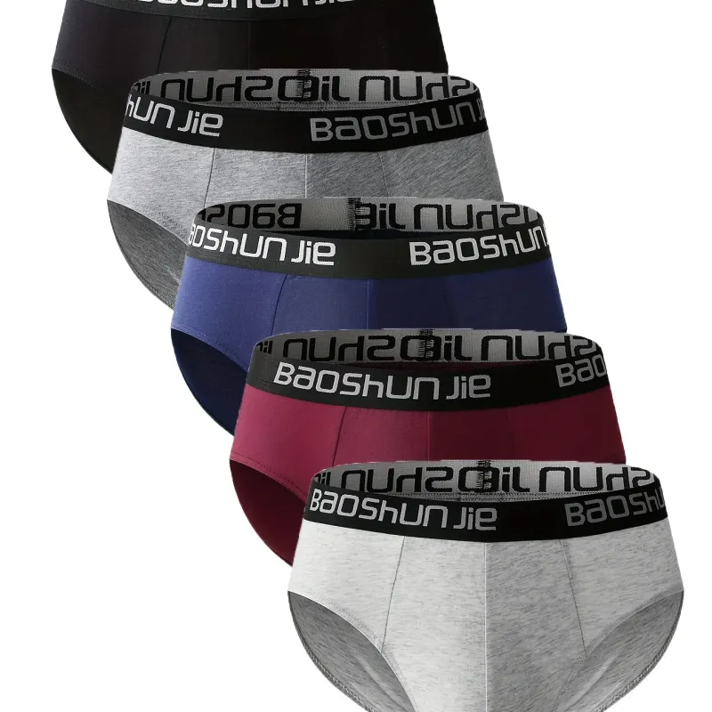 Men's Pure Cotton Briefs 5-Pack 1