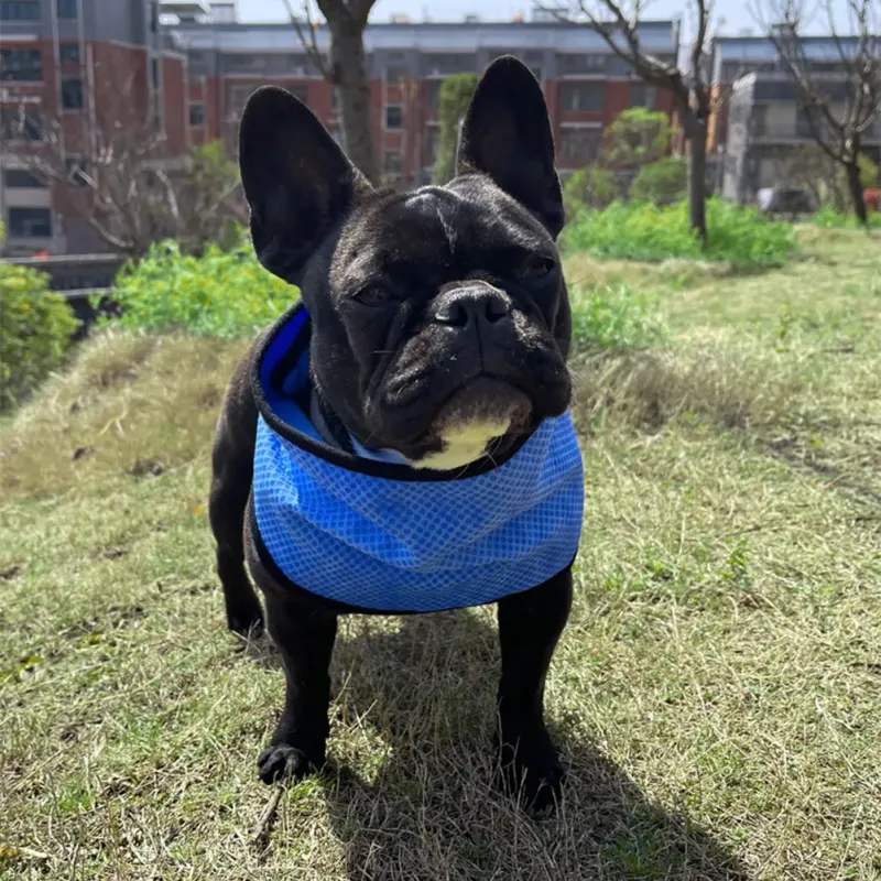 Cooling Dog Bandana Scarf 4