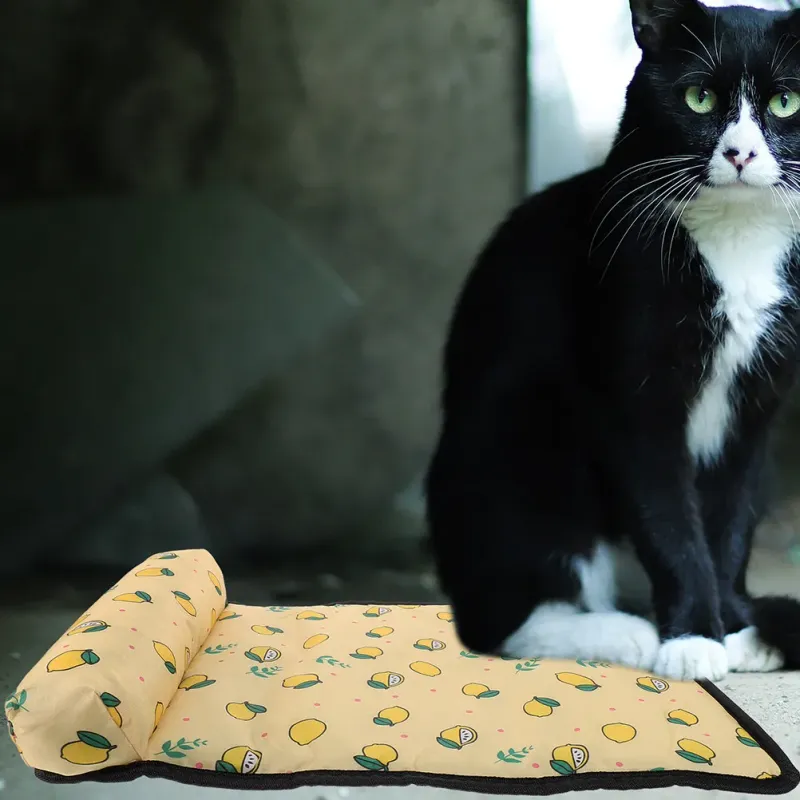 Self-Cooling Pet Blanket 2