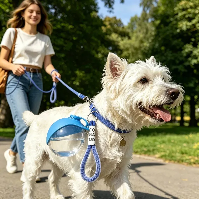 Portable Dog Water Bottle with Bowl 6