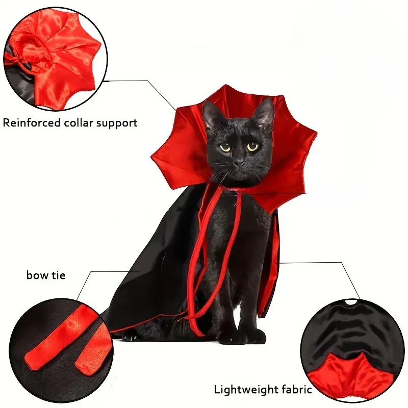 Vampire Cat Halloween Costume Set 4