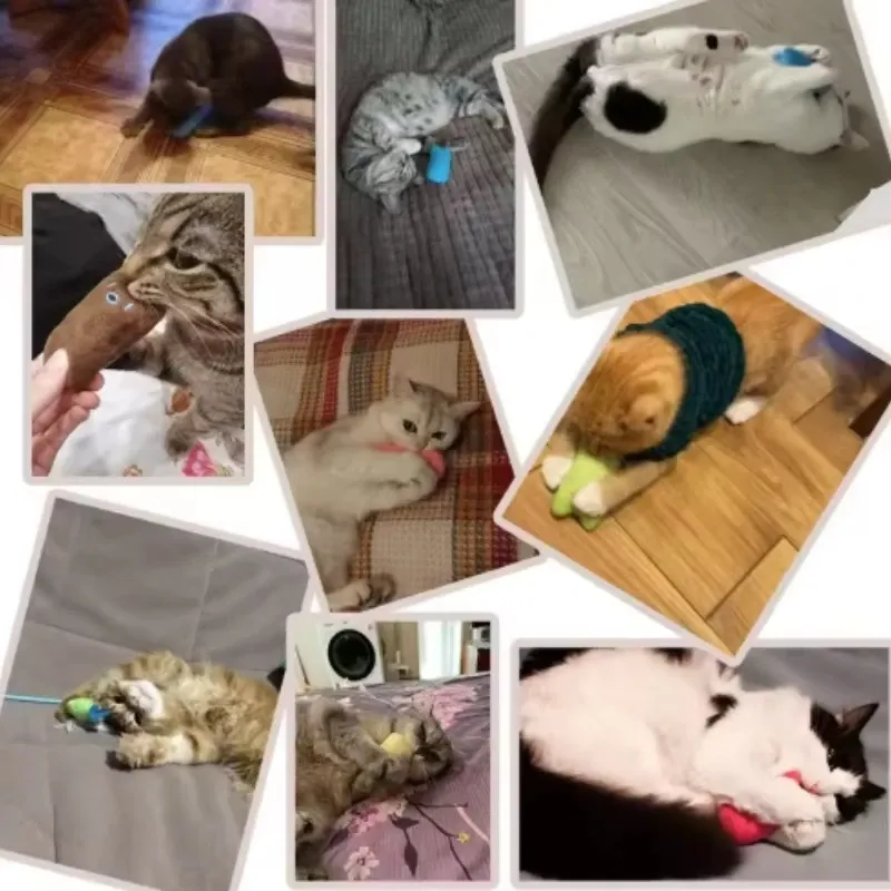 Teeth Grinding Catnip Plush Cat Toy 5