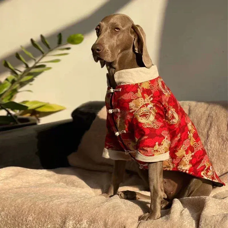 Chinese New Year Tang Suit Dog Costume 5
