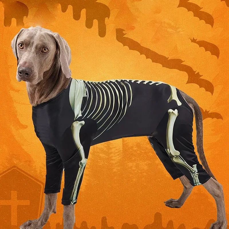 Skeleton Dog Halloween Costume Large 2