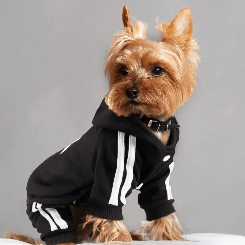 Classic Four-Leg Dog Hoodie 3