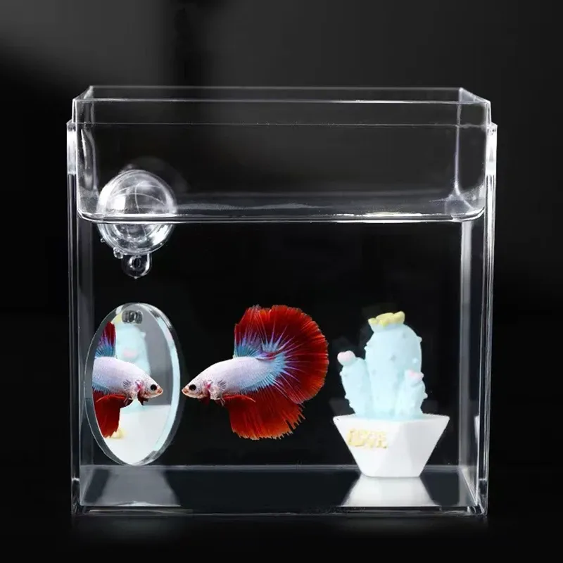 Floating Betta Fish Tank Mirror 5