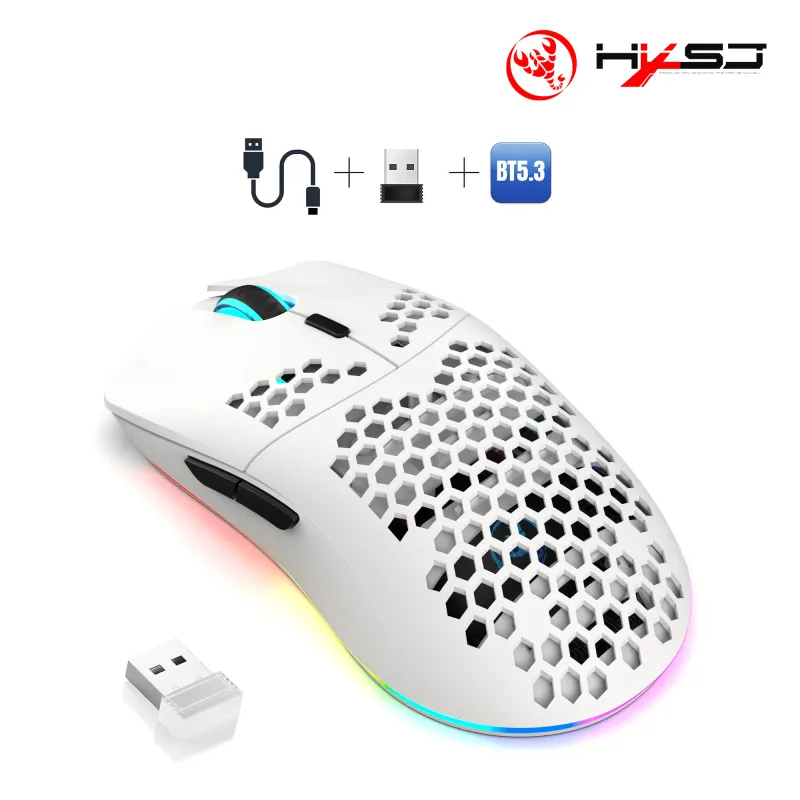 HXSJ T66 10000DPI RGB Wireless Gaming Mouse 1