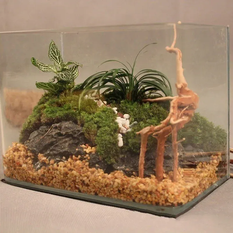 Natural Driftwood Aquarium Ornament 4