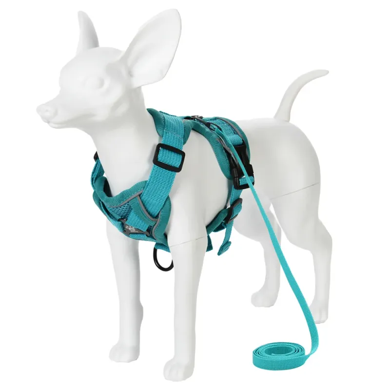 Adjustable Reflective Pet Harness & Leash Set 6