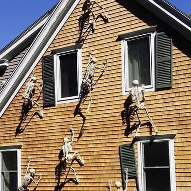 Halloween Skeleton Decoration Prop 5