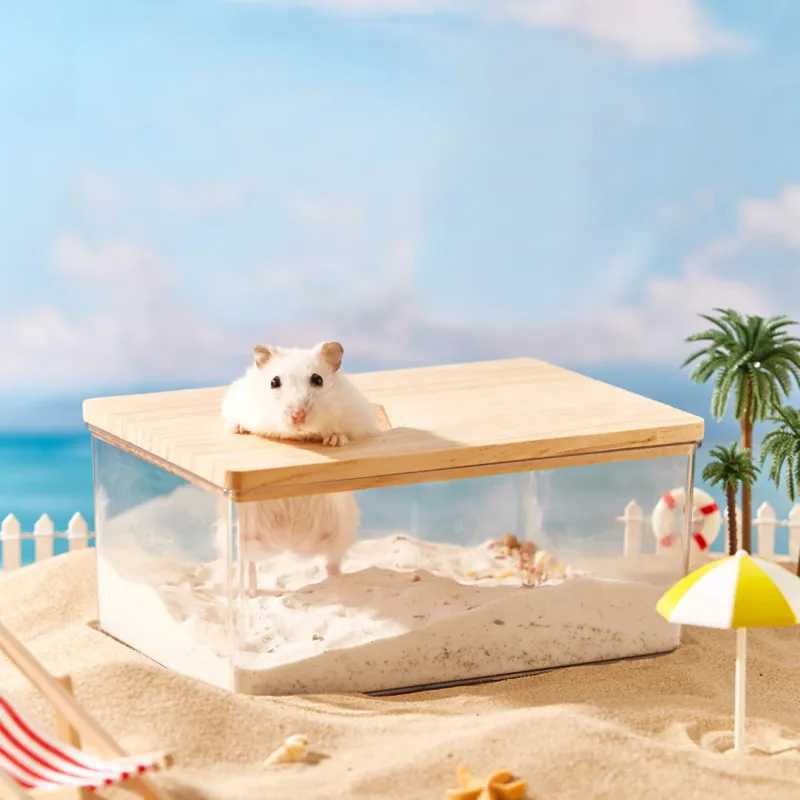 Clear Hamster Bathroom Sand Box 3