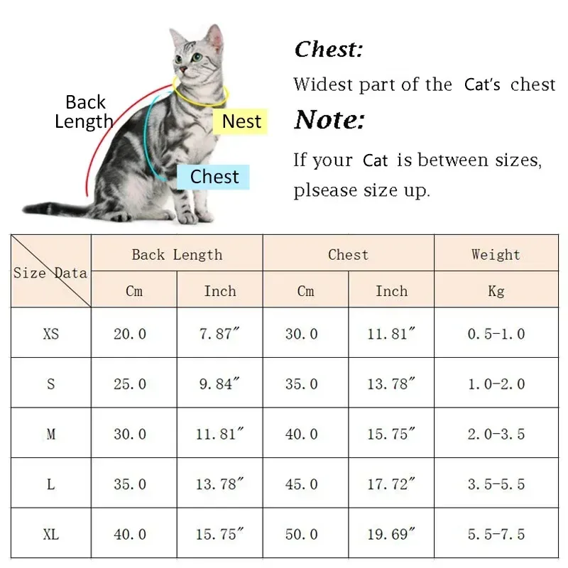 Winter Sphynx Cat Hoodie Sweater 2