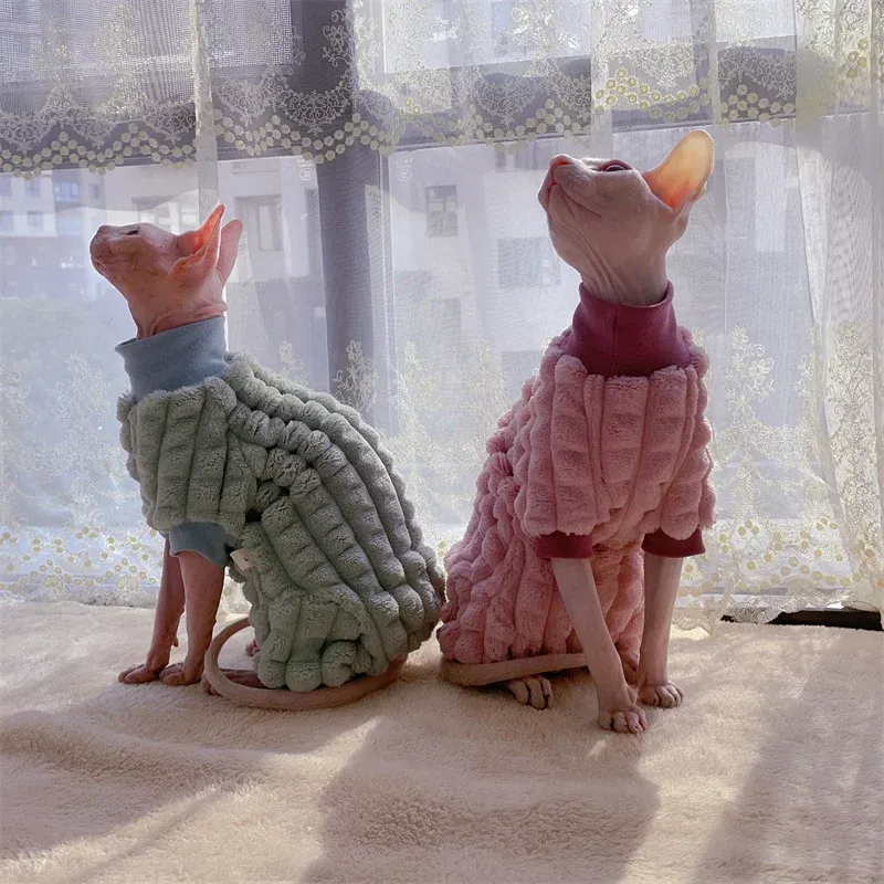 Sphynx Cat Turtleneck Sweater 2