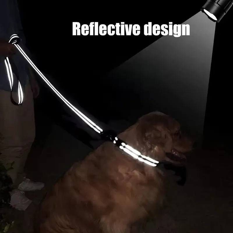 Reflective Pet Walking Leash 180cm 6