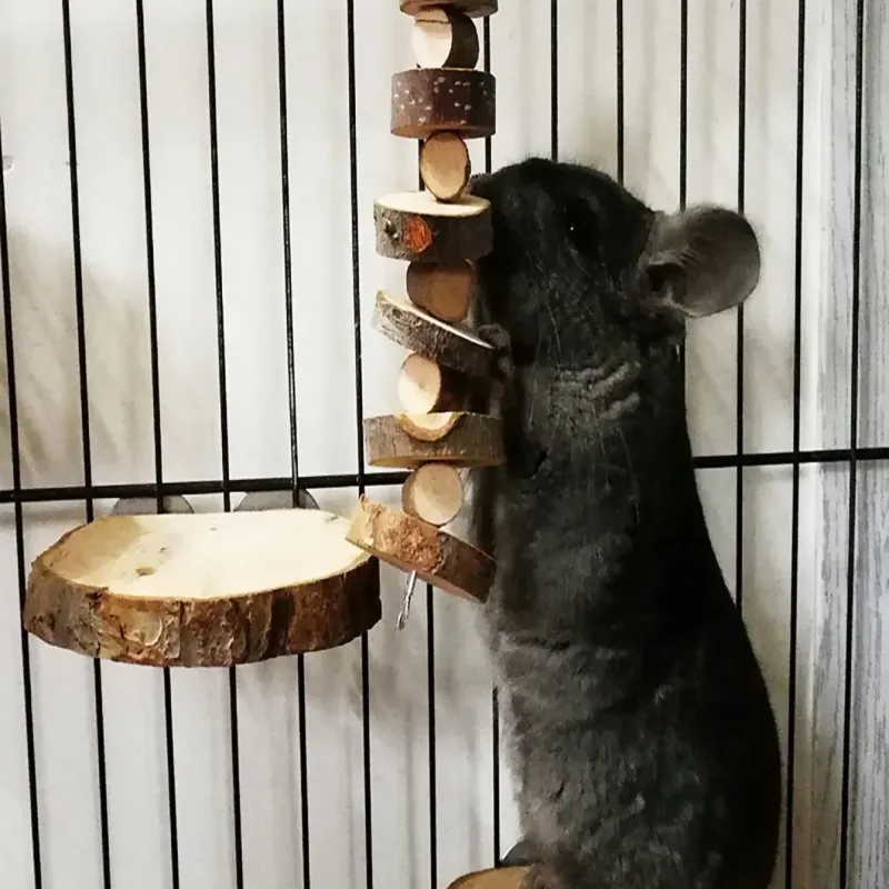 Natural Wood Chew Sticks for Small Pets 1