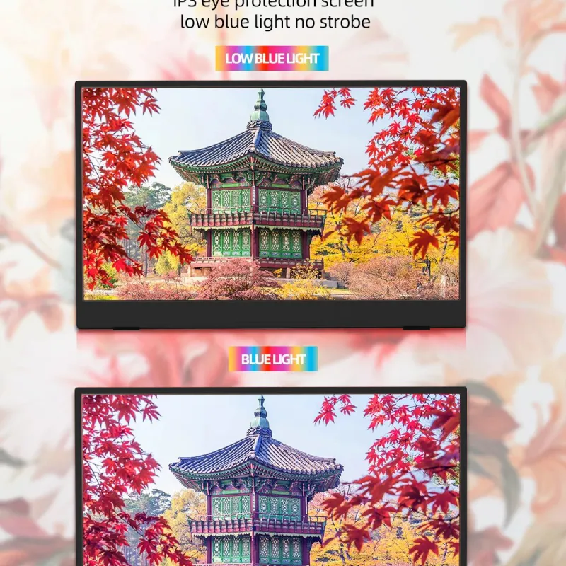 ZSUS 15.6" Portable Monitor 1080P 3