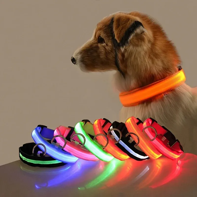 LED Glow in the Dark Dog Leash & Collar 1