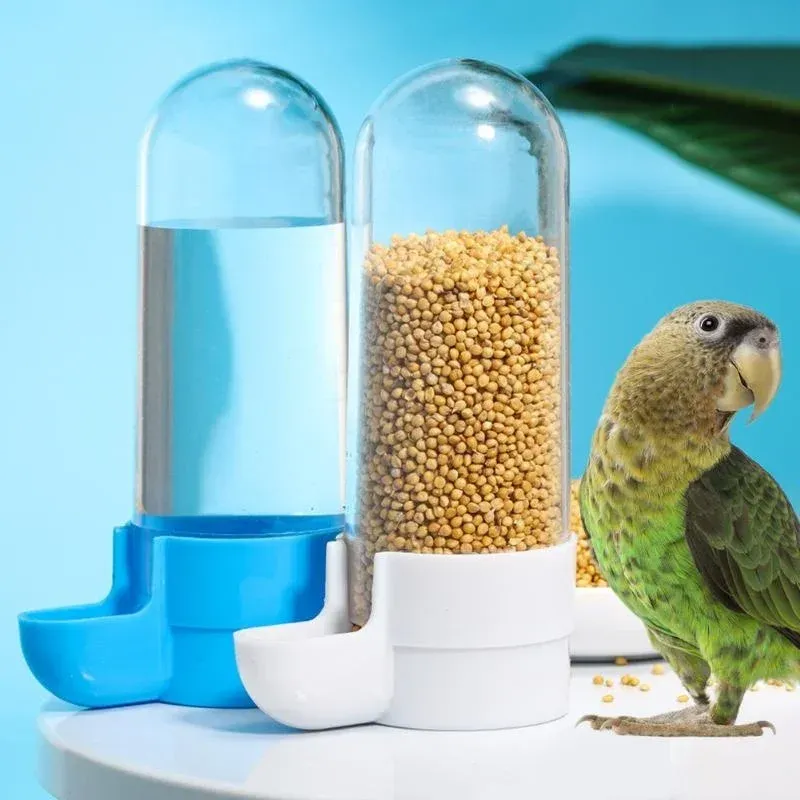 Hanging Bird Feeder & Water Dispenser 1