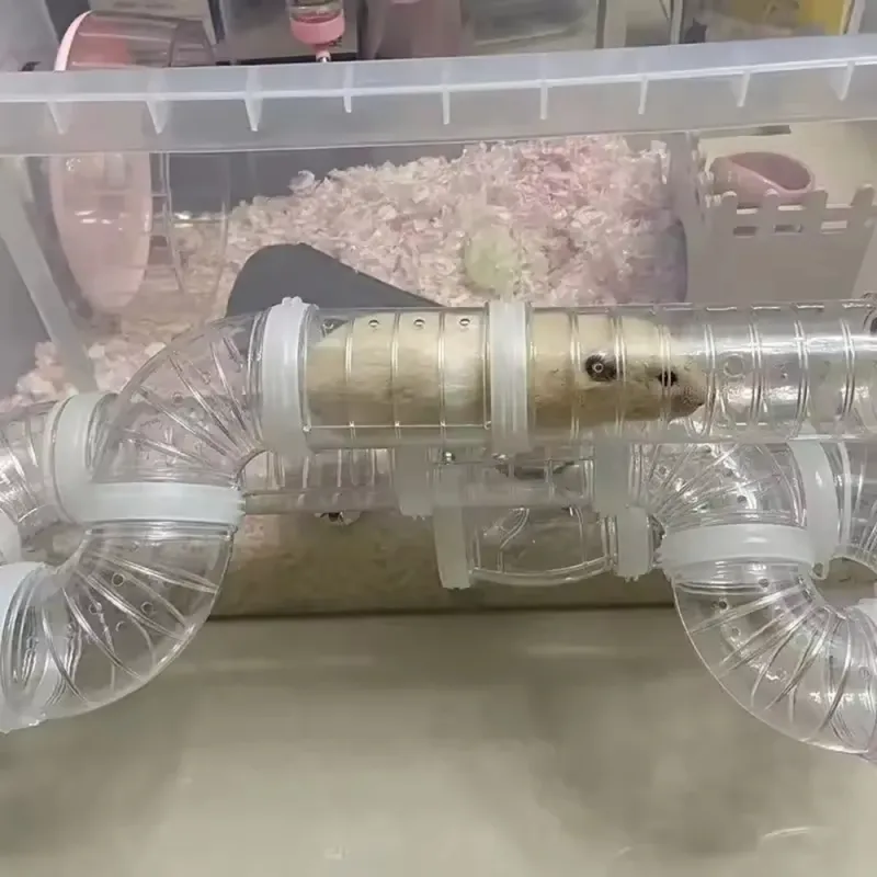 Hamster Cage DIY Pipeline Tunnel 5