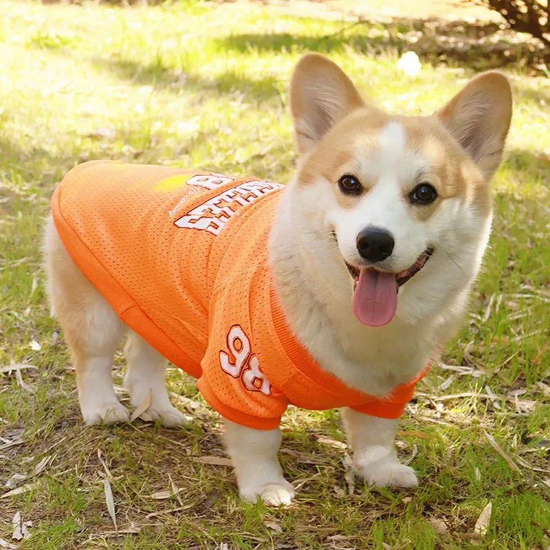 LA Style Dog Cooling Vest 5
