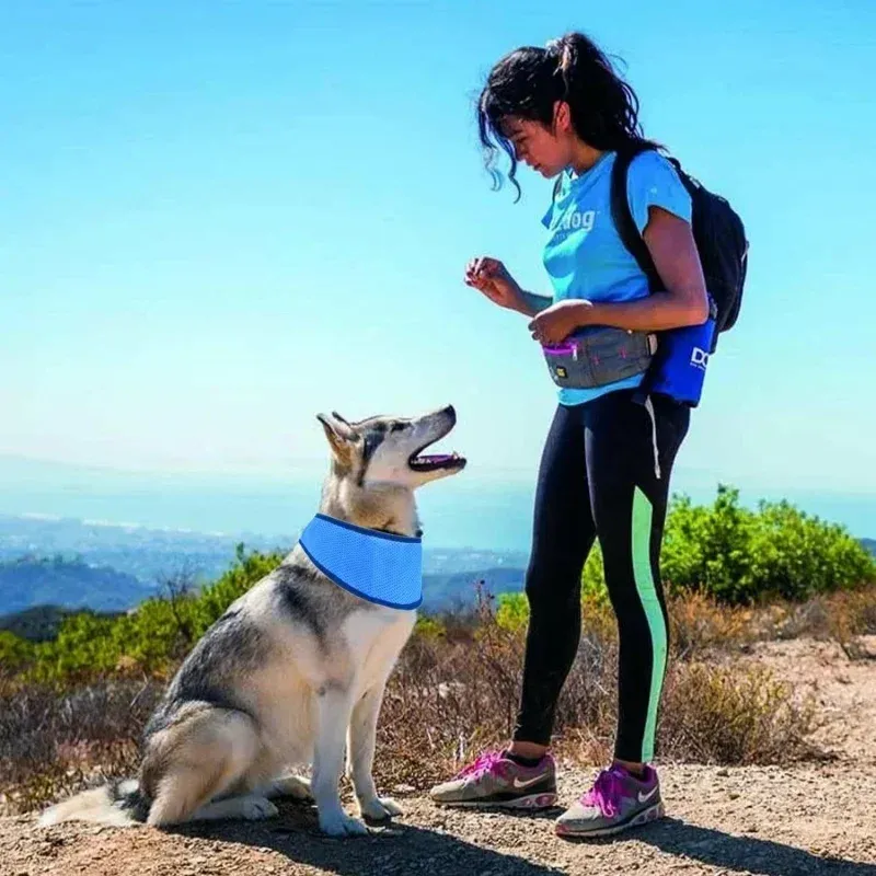 Pet Cooling Ice Collar Bandana 3