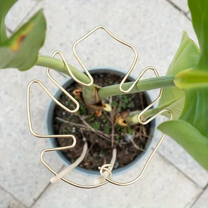 Large Hanging Plant Stand with Iron Hooks 3