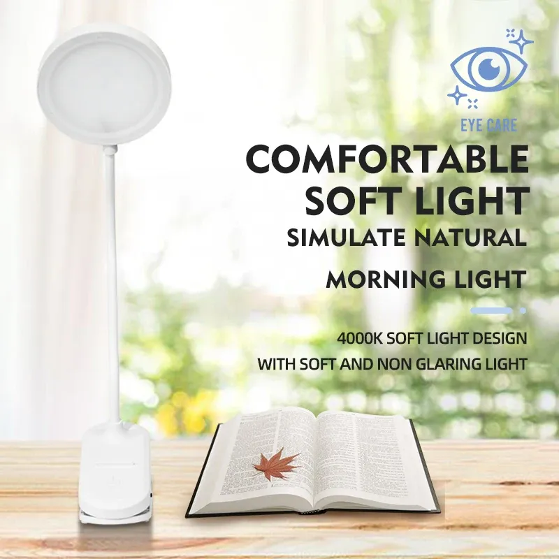 USB LED Clip On Desk Lamp with Gooseneck 2
