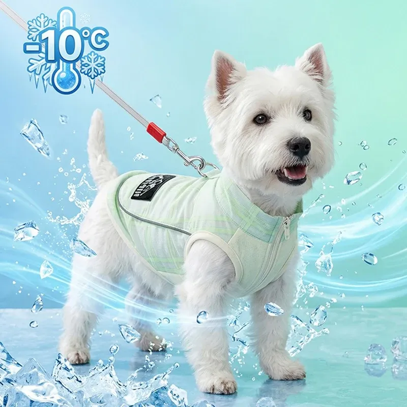 Breathable Summer Dog Cooling T-Shirt 6