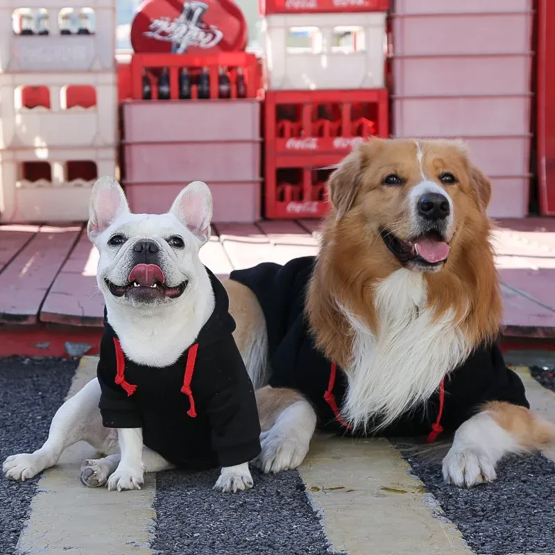 Winter Fleece Dog Hoodie with Hat 3