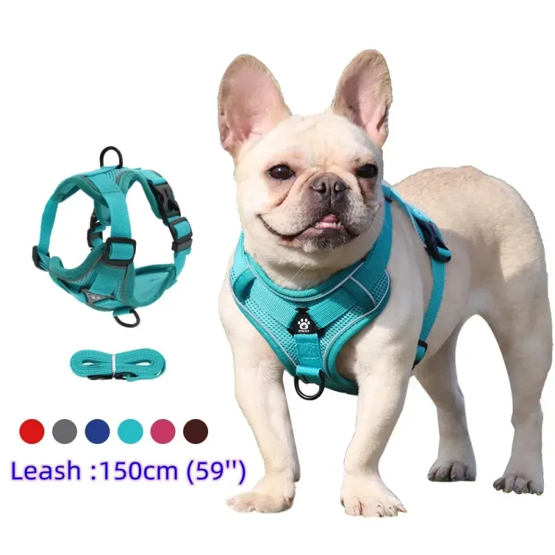 No-Pull Dog Harness & Leash Set 1