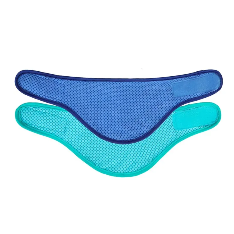 Dog Cooling Bandana 2 Pack 4