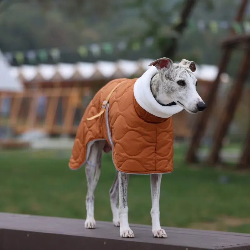 Waterproof Winter Dog Jacket with Adjustable Straps 4