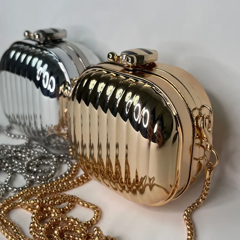 Metallic Acrylic Mini Crossbody Bag 4
