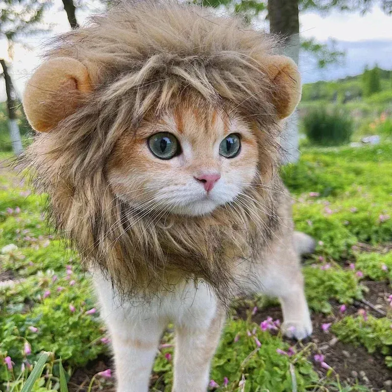 Lion Mane Pet Costume Wig Hat 3