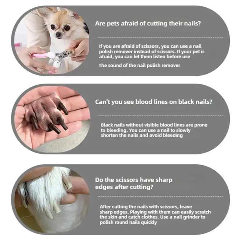 USB Electric Pet Nail Grinder 4