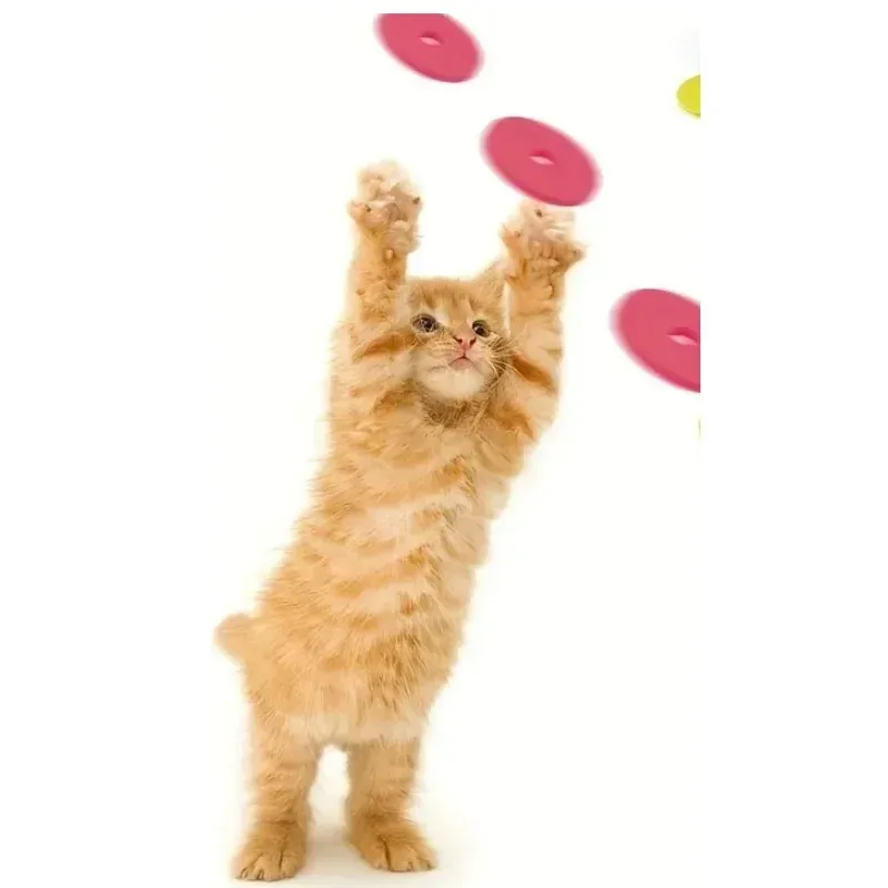 Creative Turnip Gun Cat Toy Set 3
