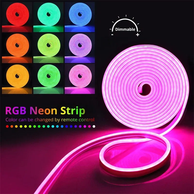 RGB LED Neon Rope Lights with Remote 2