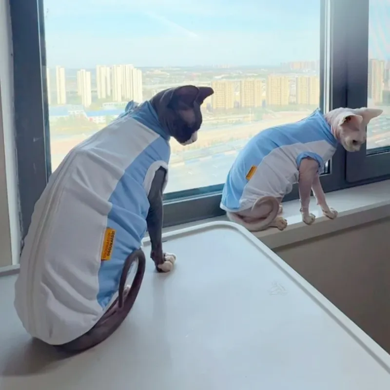 Sphynx Cat Cooling Mesh Vest 3