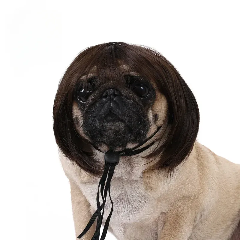 Pet Wig Dog Cat Halloween Costume 6