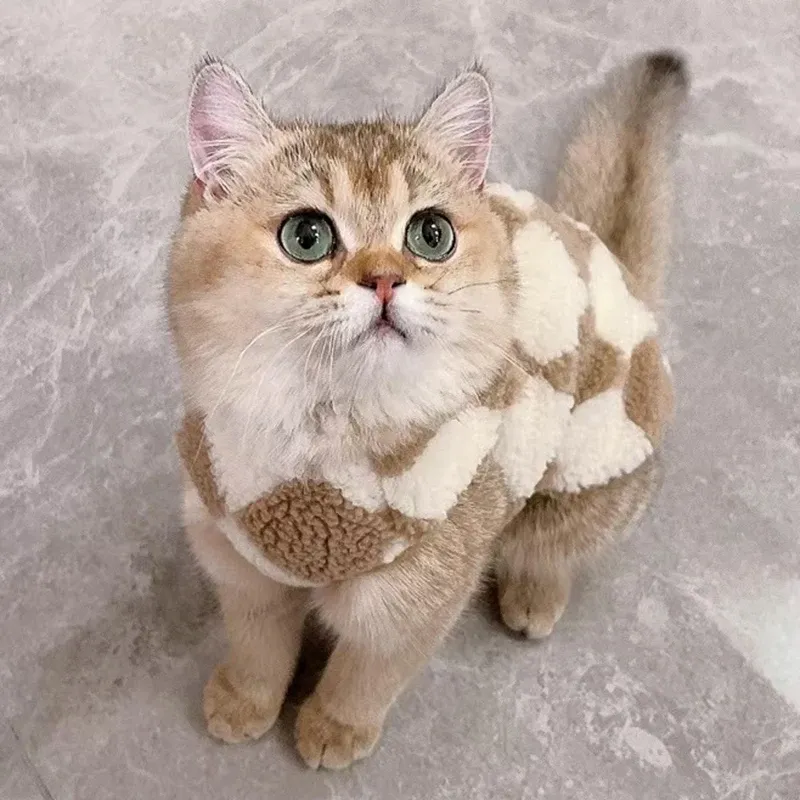 Sphynx Cat Winter Fleece Sweater 6