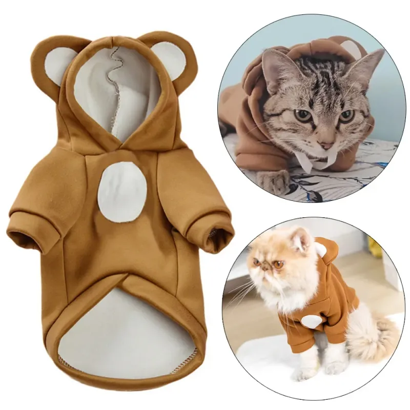 Winter Sphynx Cat Hoodie Sweater 1