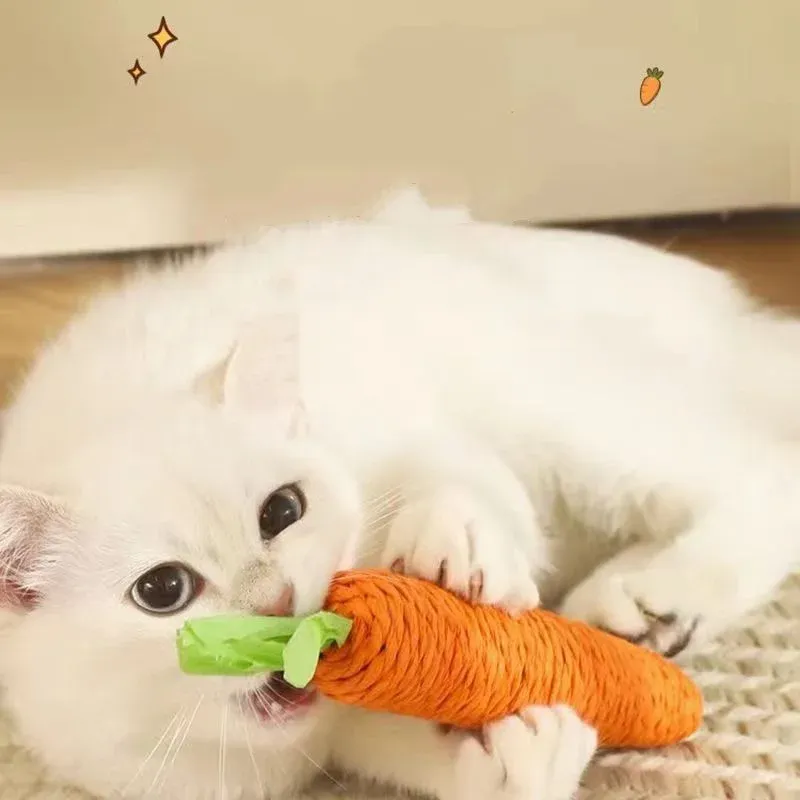 Cat Teething Sound Carrot Toy 4