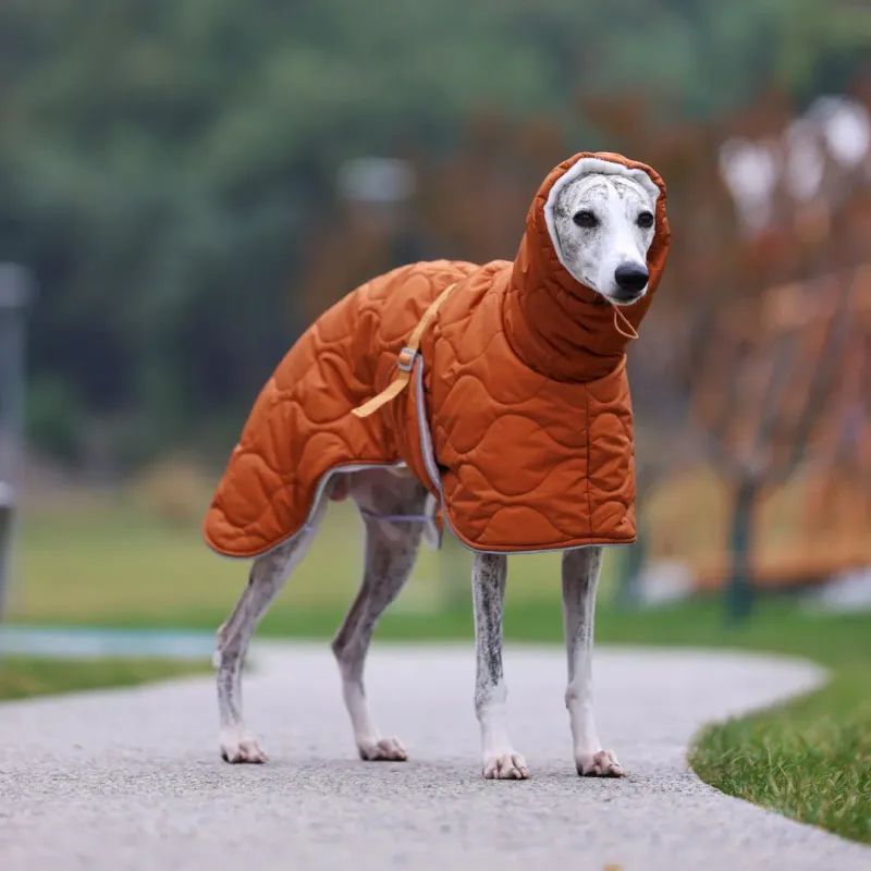 Waterproof Winter Dog Jacket with Adjustable Straps 5