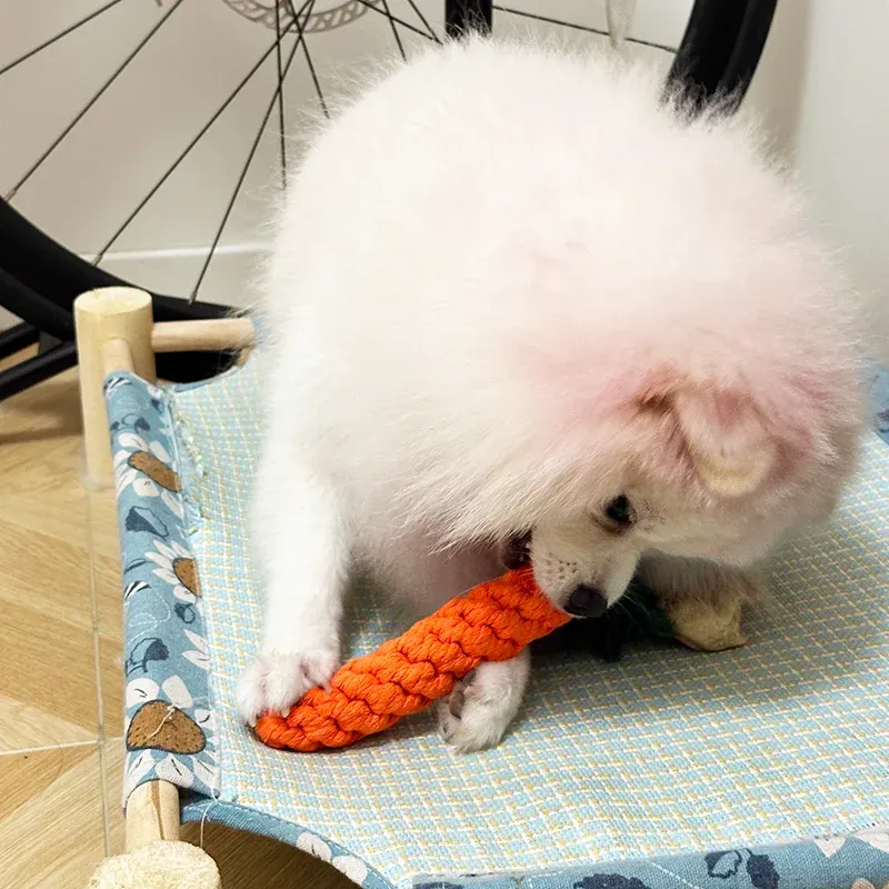 Carrot Rope Chew Toy for Puppies 4