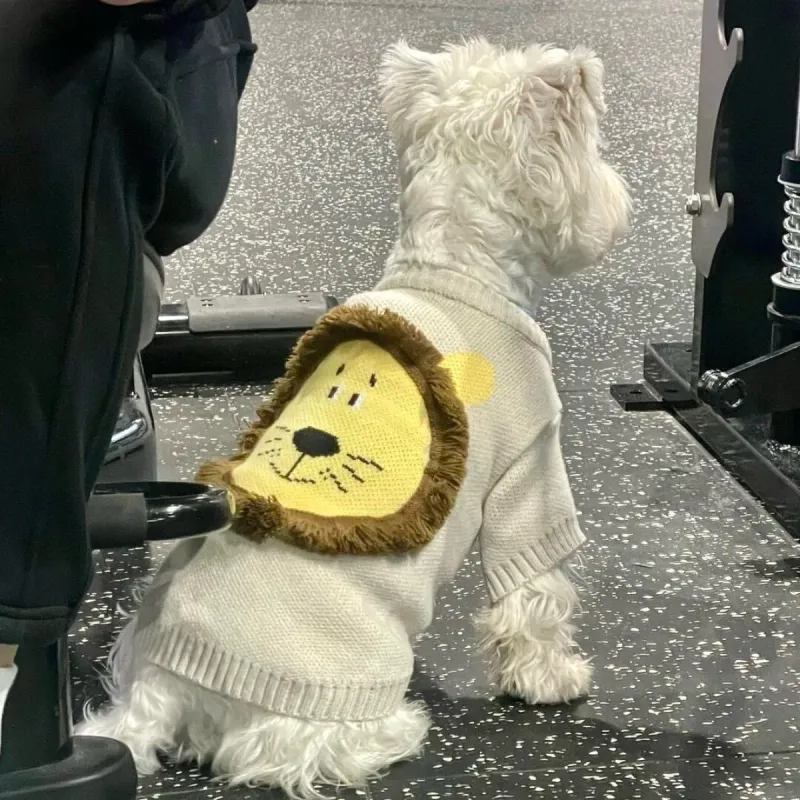 Lion Knit Pet Sweater Jacket 5