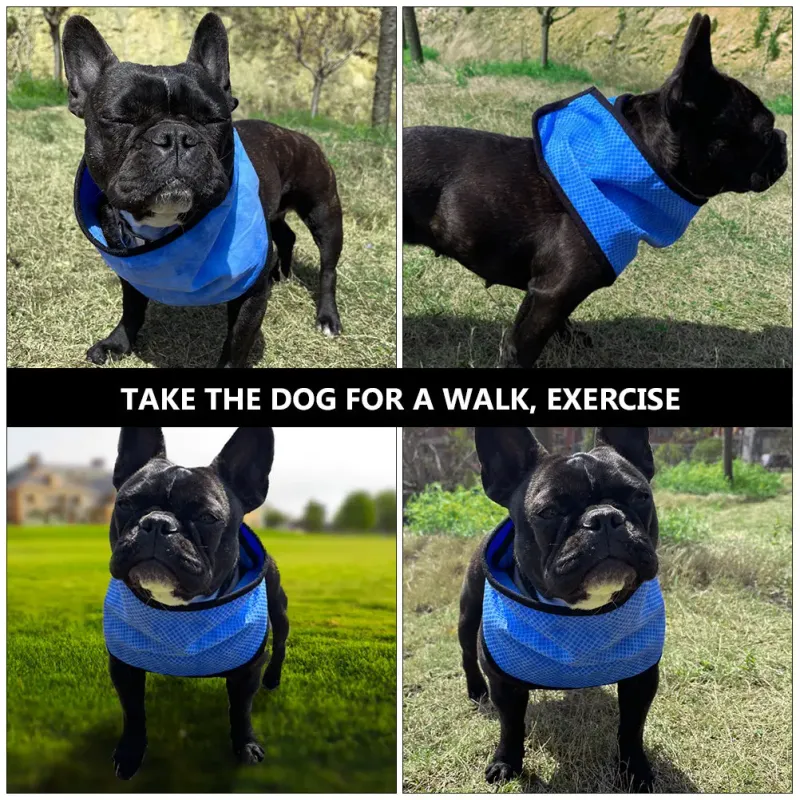 Cooling Dog Bandana Scarf 5