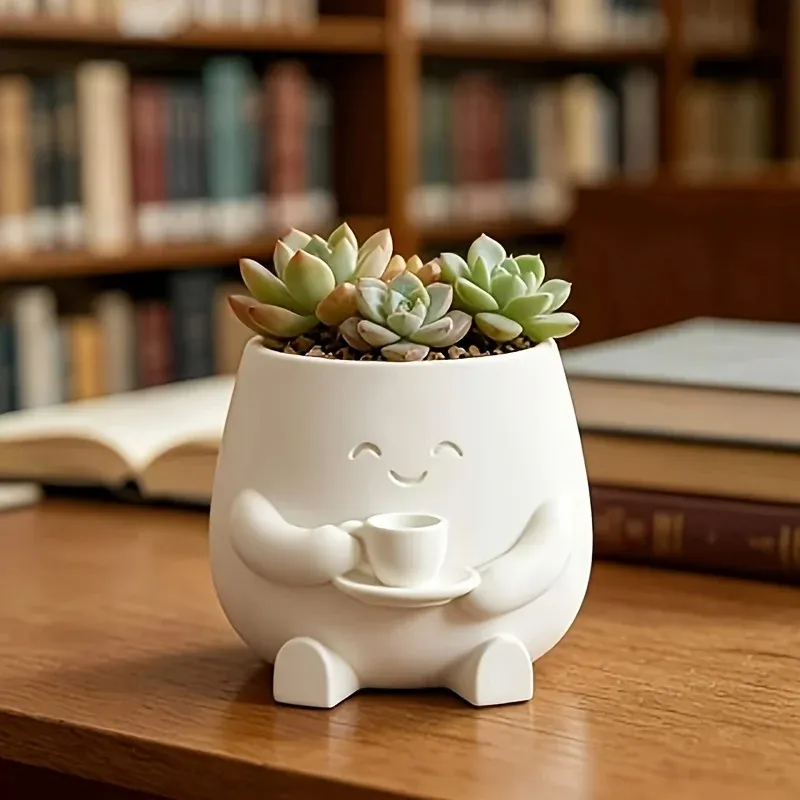 Smiling Face Mini Succulent Pot 3