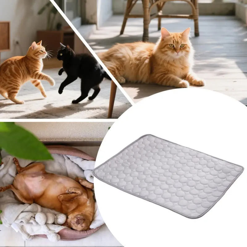 Pet Cooling Pad 50x40cm 5